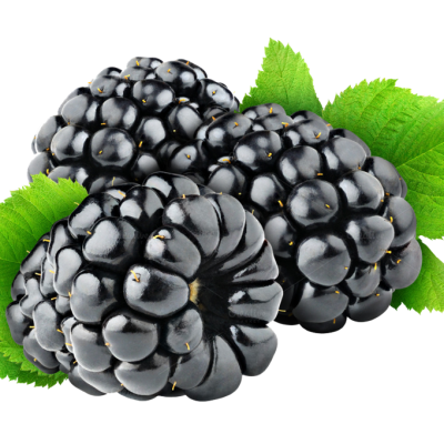 Blackberry Frozen Fruit/IQF